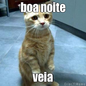 boa noite veia