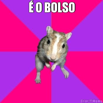 � O BOLSO 