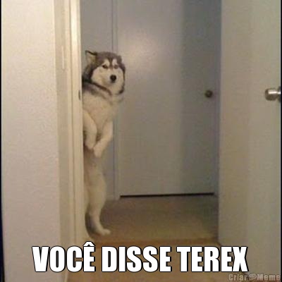  VOC� DISSE TEREX