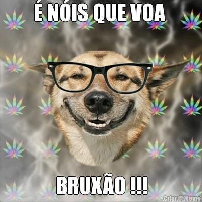 � N�IS QUE VOA  BRUX�O !!!