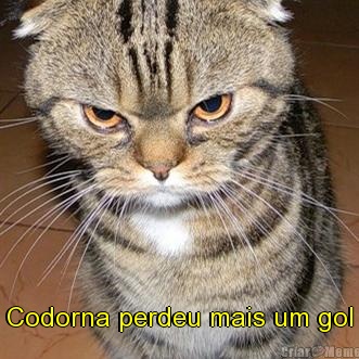  Codorna perdeu mais um gol