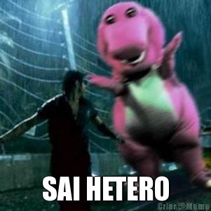  SAI HETERO