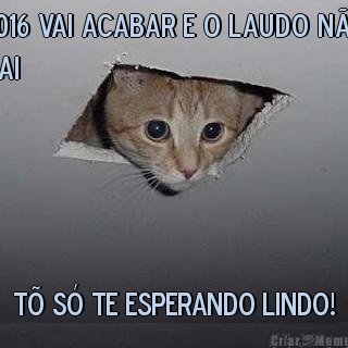 2016 vai acabar e o laudo n�o
sai T� S� TE ESPERANDO LINDO!