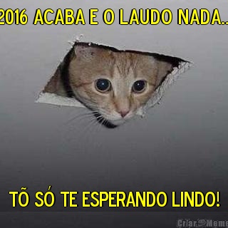 2016 acaba e o laudo nada... T� S� TE ESPERANDO LINDO!