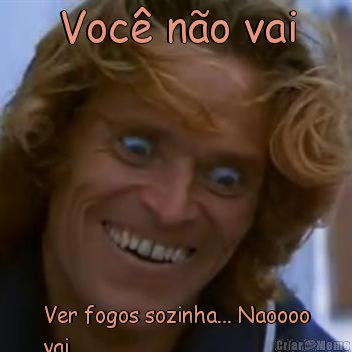 Voc� n�o vai Ver fogos sozinha... Naoooo
vai