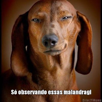  S� observando essas malandragi