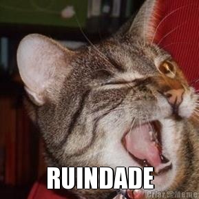  RUINDADE