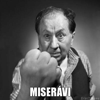  MISER�VI