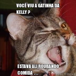 VOC� VIU A GATINHA DA
KELLY ?  ESTAVA ALI ROUBANDO
COMIDA  . . .