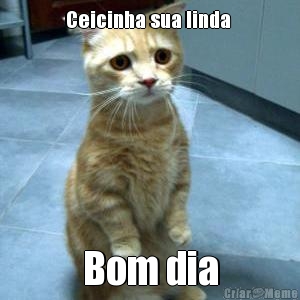Ceicinha sua linda  Bom dia