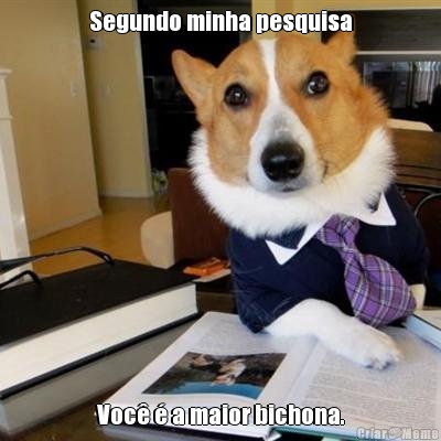 Segundo minha pesquisa Voc� � a maior bichona.