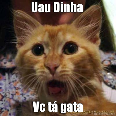Uau Dinha  Vc t� gata