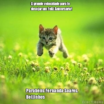 A grande velocidade para te
desejar um Feliz Anivers�rio!  Parab�ns Fernanda Soares.
Beijinhos
