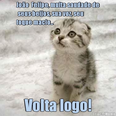 Jo�o  Felipe, muita saudade de
 seus beijos, sua voz, seu
toque macio... Volta logo!
