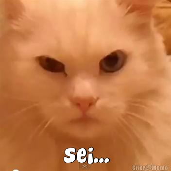  sei...