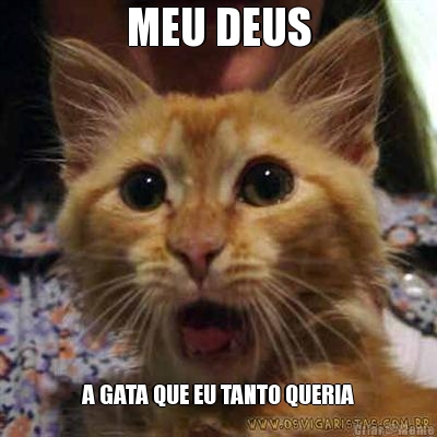 MEU DEUS A GATA QUE EU TANTO QUERIA
