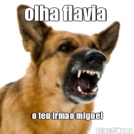 olha flavia  o teu irmao miguel