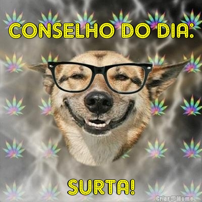 CONSELHO DO DIA: SURTA!