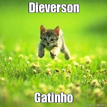 Dieverson Gatinho