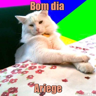 Bom dia  Ariege