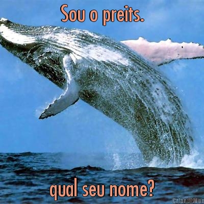 Sou o preits. qual seu nome?