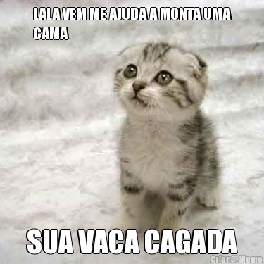 LALA VEM ME AJUDA A MONTA UMA
CAMA SUA VACA CAGADA

