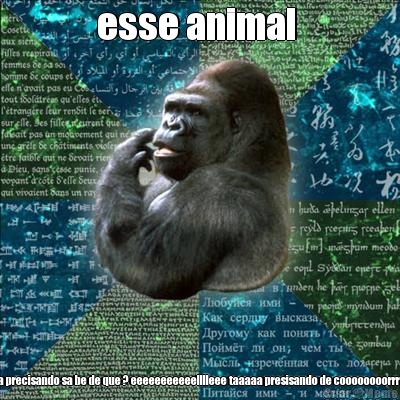 esse animal  ele ta precisando sa be de que ? eeeeeeeeeeelllleee taaaaa presisando de coooooooorrrrrrpo