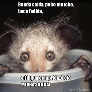 Bunda caída, peito murcho,
boca fedida, e Lingua comprida..é ela
MINHA SOGRA!