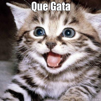 Que Gata 