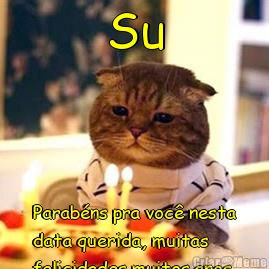 Su Parab�ns pra voc� nesta
data querida, muitas
felicidades muitos anos
de vida!  