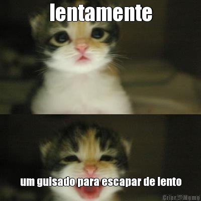 lentamente um guisado para escapar de lento