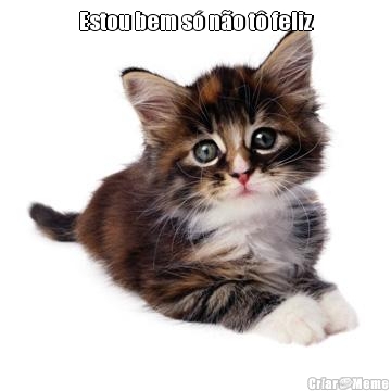 Estou bem s� n�o t� feliz 