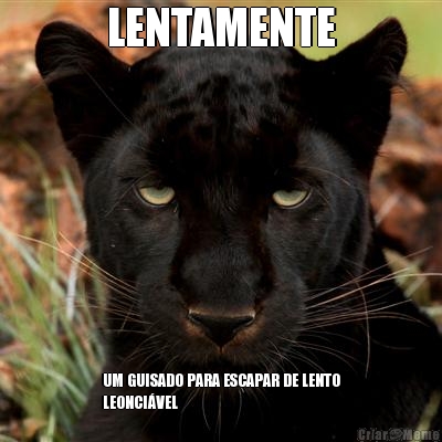 LENTAMENTE UM GUISADO PARA ESCAPAR DE LENTO
LEONCI�VEL