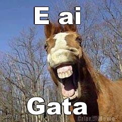E ai  Gata 