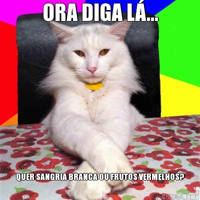 ORA DIGA L�... QUER SANGRIA BRANCA OU FRUTOS VERMELHOS?
