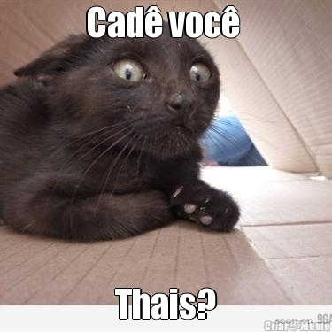 Cad� voc�  Thais?