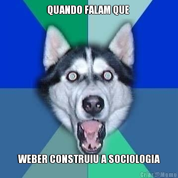 QUANDO FALAM QUE  WEBER CONSTRUIU A SOCIOLOGIA