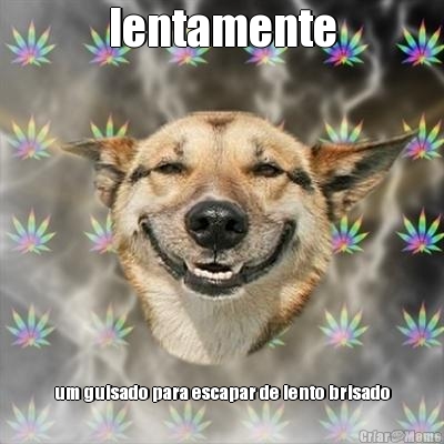 lentamente um guisado para escapar de lento brisado