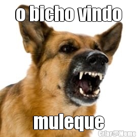 o bicho vindo muleque