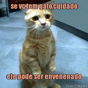 se vc tem gato,cuidado ele pode ser envenenado