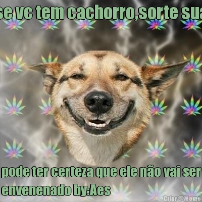 se vc tem cachorro,sorte sua pode ter certeza que ele n�o vai ser
envenenado by:Aes