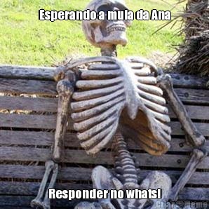Esperando a mula da Ana Responder no whats!