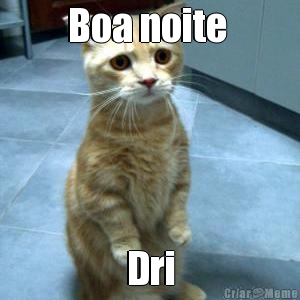 Boa noite  Dri