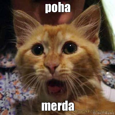 poha
 merda
