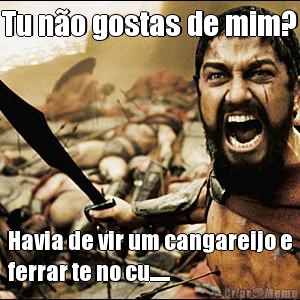 Tu n�o gostas de mim? Havia de vir um cangareijo e
ferrar te no cu.....