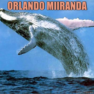 ORLANDO MIIRANDA 