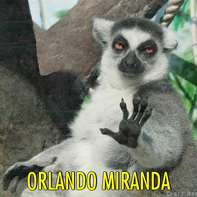  ORLANDO MIRANDA