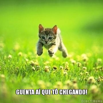  GUENTA A� QUE T� CHEGANDO!