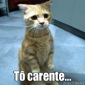  T� carente...