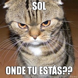 SOL ONDE TU ESTÁS??